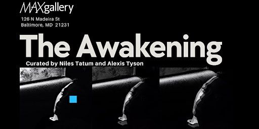 The Awakening Opening Reception (Baltimore) | maxgallery