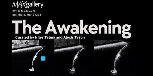 The Awakening Opening Reception (Baltimore) | maxgallery