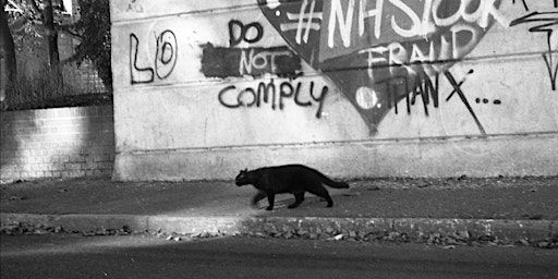 Darkroom Techniques | Hazlehurst Studios