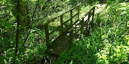 Walk 21 Mindfulness Walk around Coalport and Sutton Wood 3 miles | YHA Ironbridge Coalport