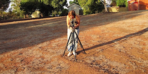 Simone Rosenbauer Small Museum tour with the artist Simone Rosenbauer | Maitland Regional ...