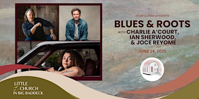 Blues & Roots | Vicar’s View Venue