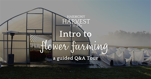 Intro  to Flower Farming: A guided  Q&A Tour | Harmony Harvest Farm