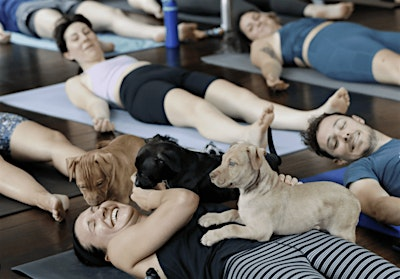 Disco Puppy Yoga at Zoom Room | The Zoom Room