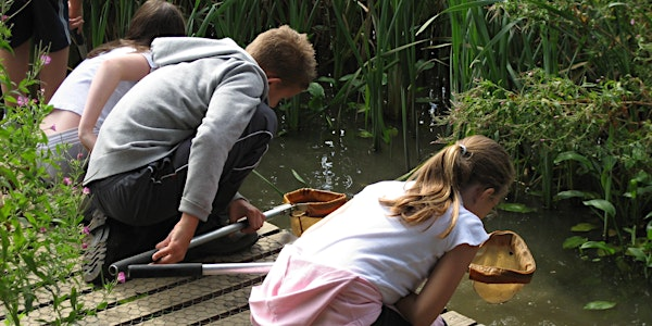 Hanningfield Pond Dipping | Hanningfield Reservoir Nature Discovery Park