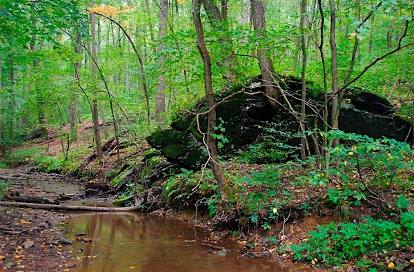 Exploration Hike: Steinman Run Nature Preserve | Steinman Run Nature Preserve