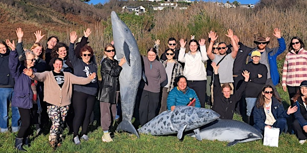 South Devon Marine Strandings Network Volunteer Training Day | Wembury Marine Centre
