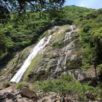屋久島旅行❗️日本の滝100選