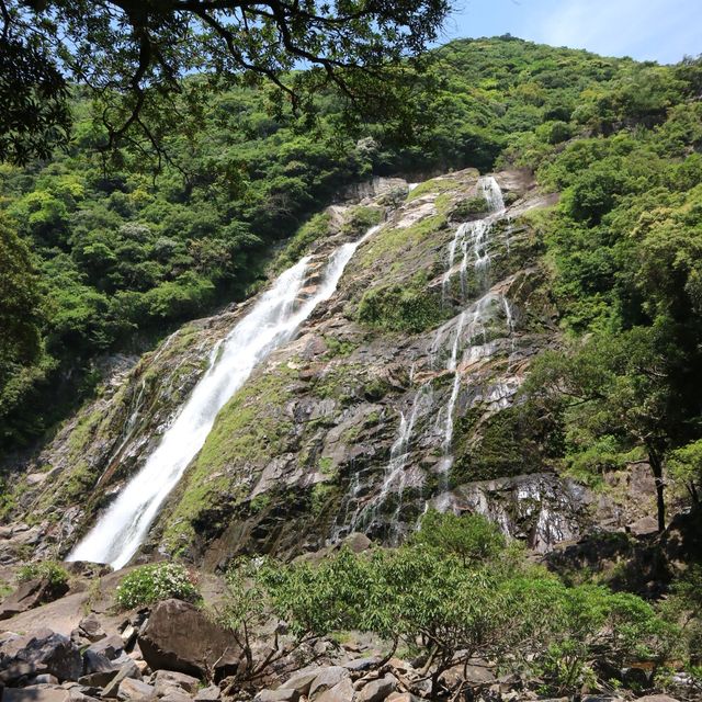 屋久島旅行❗️日本の滝100選