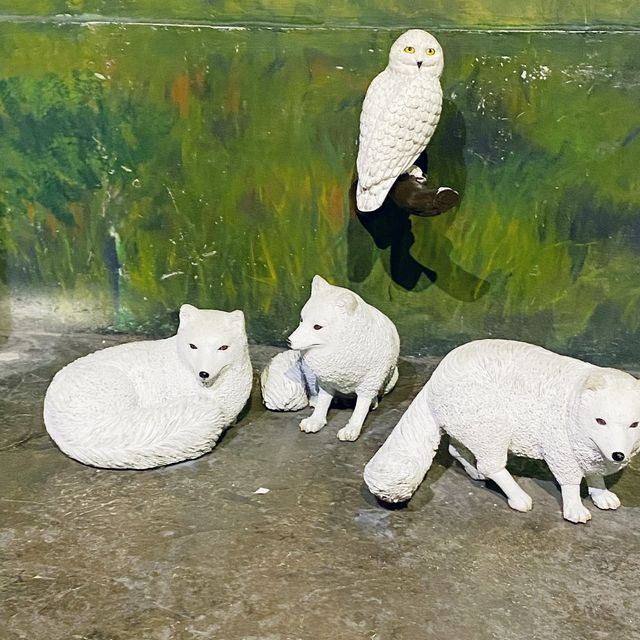 北極之旅