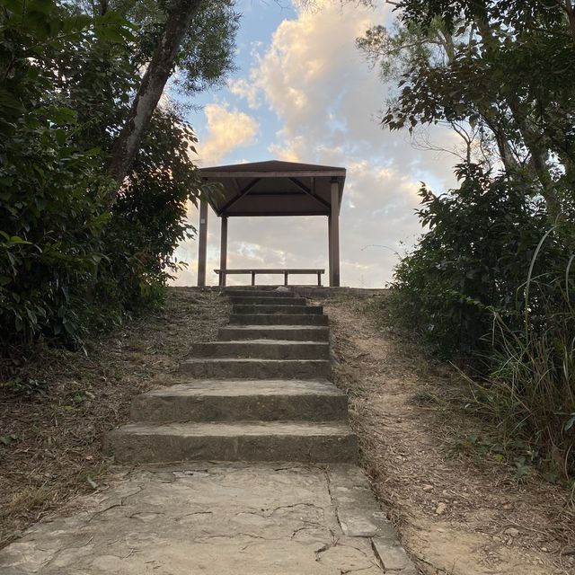 大尾篤家樂徑｜新手適合｜超輕鬆行山路線