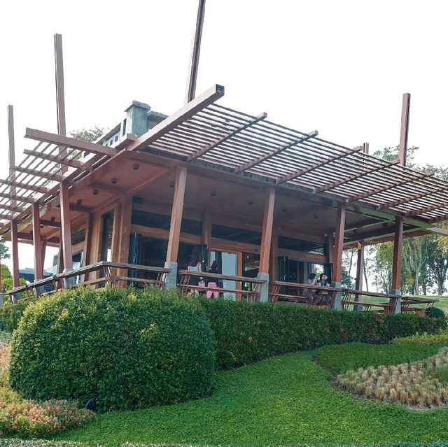 🌱จิบน้ำชา ชมไร่ชา 🌳