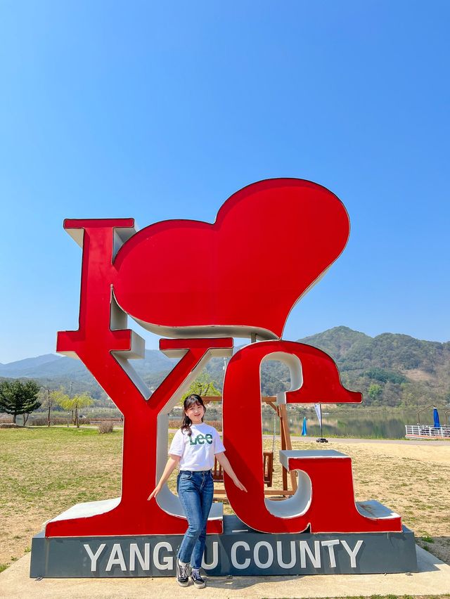 강원도 양구 가볼만한곳 총정리🤩💛