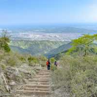 相模湾を一望な大倉尾根