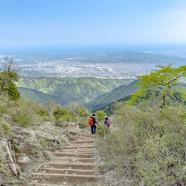 相模湾を一望な大倉尾根