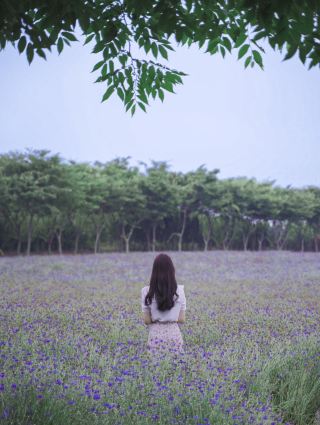 我們去看看 Agroland 的矢車菊 💙