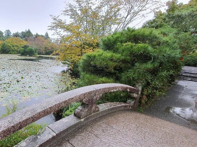 京都必去世界文化遺產｜金閣寺