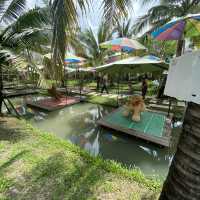 ร้านO2 kaffee & bistro
