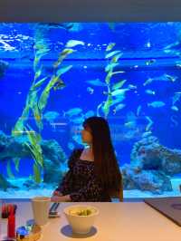 아쿠아리움이 보이는 고급 레스토랑 광교 수린 🐬💙