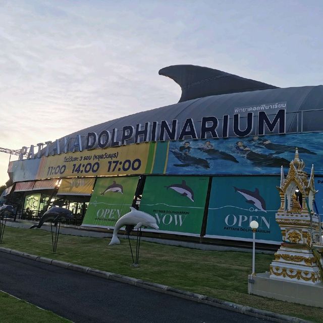 Dolfinarium Pattaya

