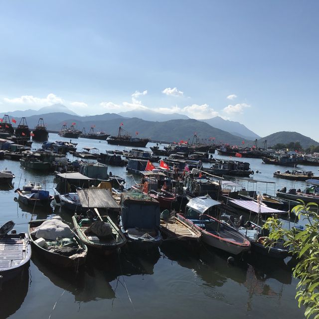長洲一日遊
