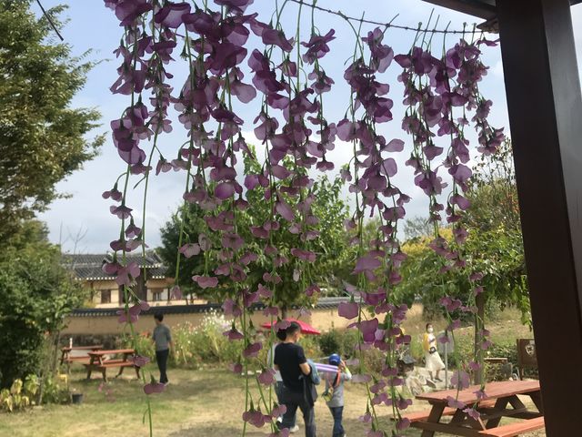 [경북/안동]한국의 미가 가득 흐르는 안동 포토존 추천🧡