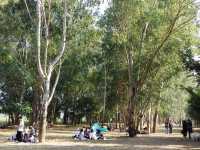 南生圍生態旅遊