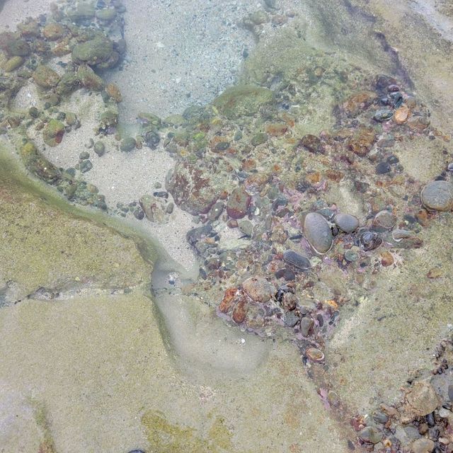 【奄美大島】ハートロック
