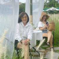 Foreste' cafe