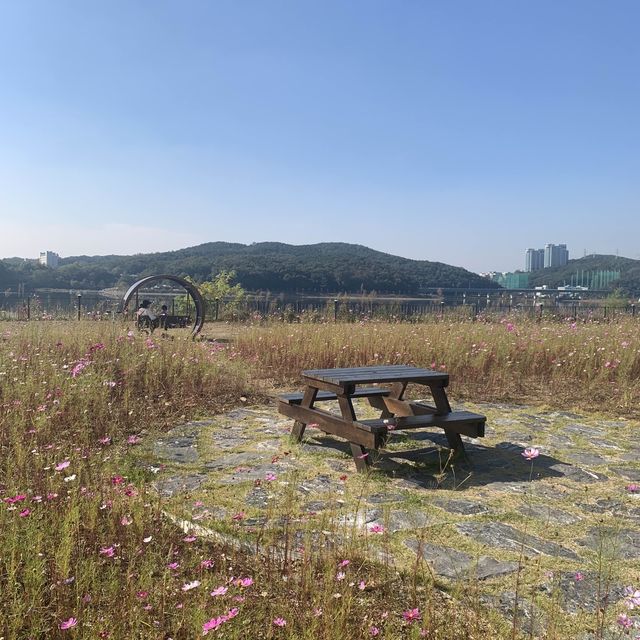 기흥에도 이런 예쁜 호수 공원이!