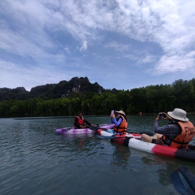 Langkawi Mangrove Kayaking Experience 