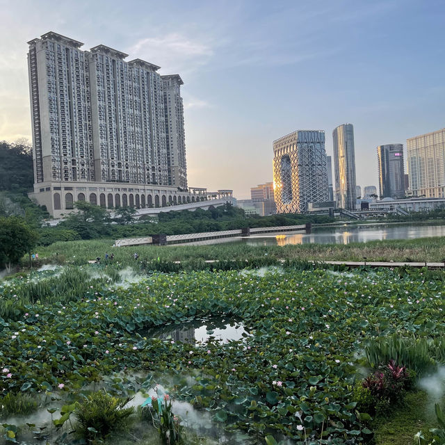 Ecological trail in Avenida da Praia, Taipa