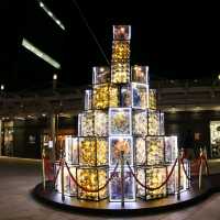 【大阪 なんば】ハイクオリティクリスマス