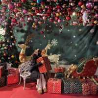 크리스마스엔 별빛정원-파주 퍼스트가든🎄✨