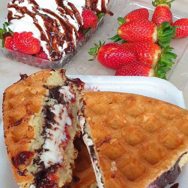 Cameron Highland Strawberry Farm