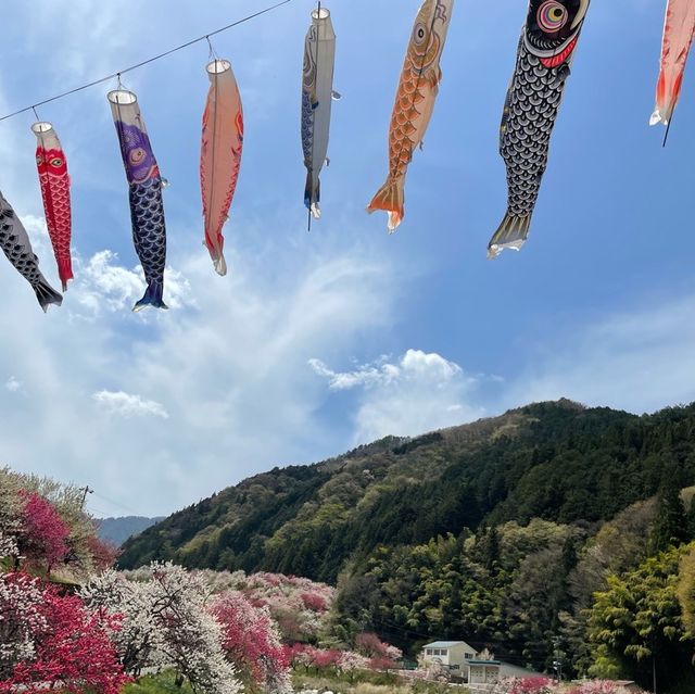 花桃の里