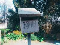 波立寺　いわき