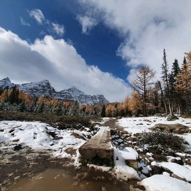 Scenery and Wildlife Viewing at Jasper