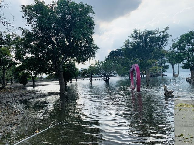 嘉義大埔景點-西拉雅國家風景區情人公園