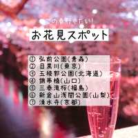 この春行きたい！お花見スポット7選