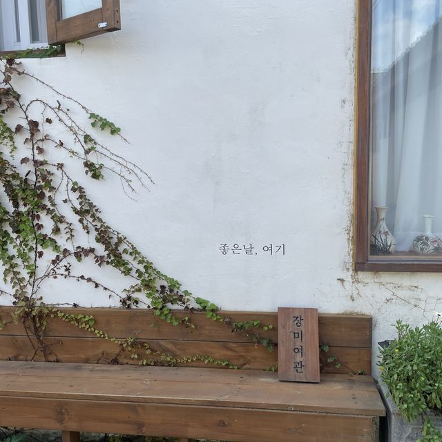 경주 혼자여행&뚜벅이 여행🚶‍♀️
