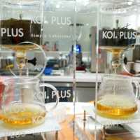 台中 看著七期豪宅吃美食 KOI® PLUS
