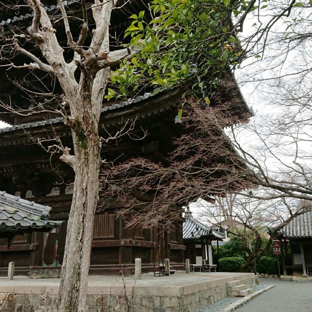 京都の名所 八坂の塔！