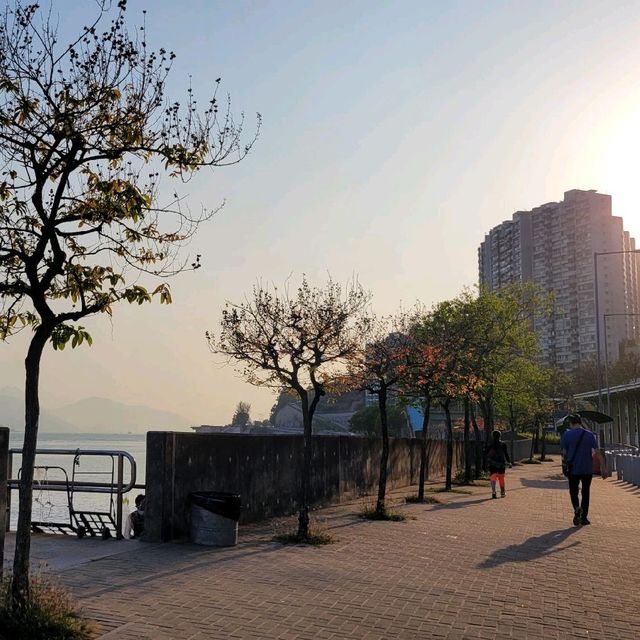優美的海景 ～ 青龍碼頭 