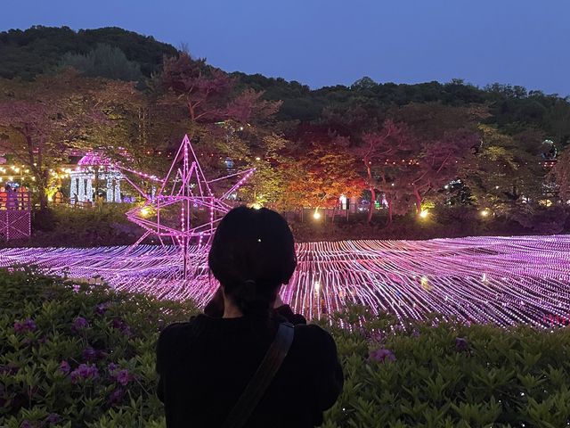 서울랜드 야간개장 화려한 조명 가득!