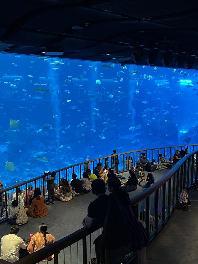 Family day at the aquarium