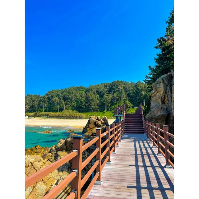 바다와 함께하는 산책로, 하조대 전망대