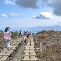 新緑の相模湾を眺めつつの登山