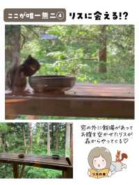 ヒミツの貸切温泉宿