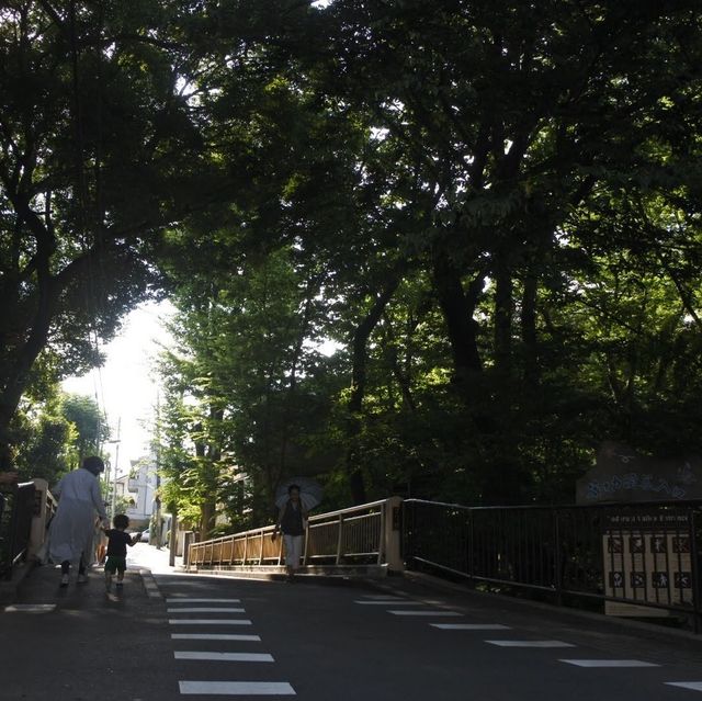 東京の等々力渓谷